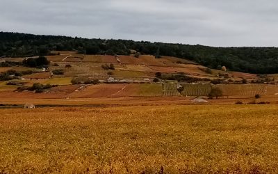 Couleurs d&rsquo;Automne