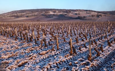 Le retour de l’hiver