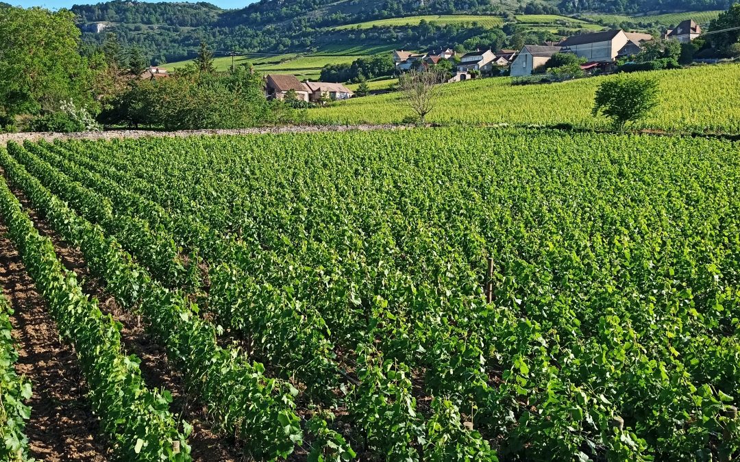 Bel été à tous!