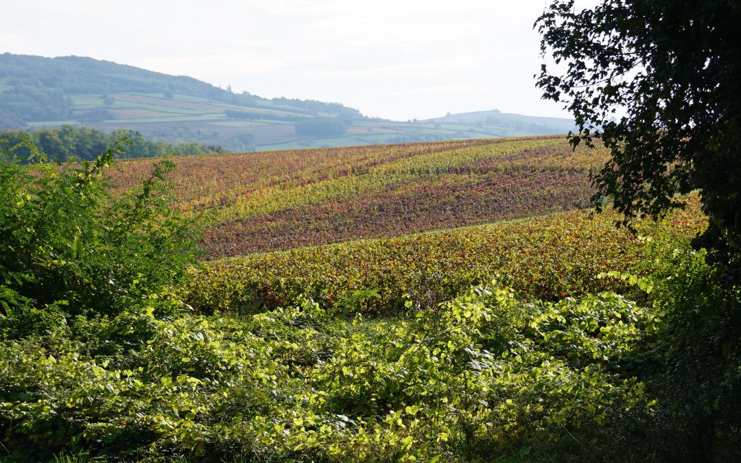 Travaux d&rsquo;Automne